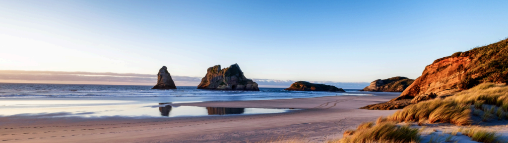 New Zealand Beach Landscape