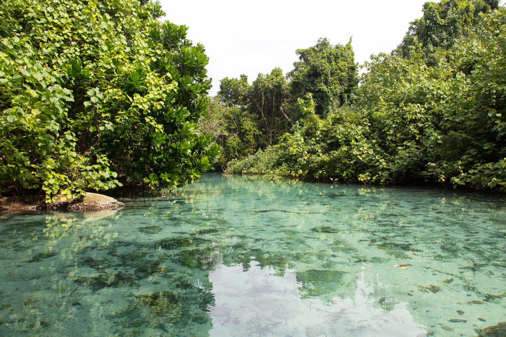 Vanuatu Landscape
